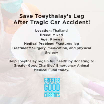 Save Toeythalay's Leg After Tragic Car Accident