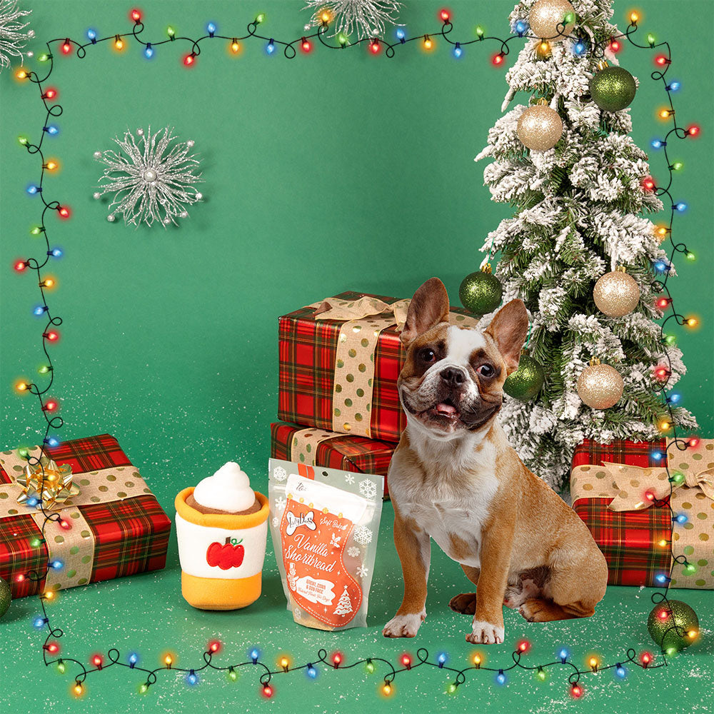 8th Annual Holiday Toy & Treat Event: Bring Joy To a Shelter Pet
