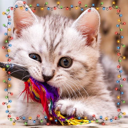 8th Annual Holiday Toy & Treat Event: Bring Joy To a Shelter Pet