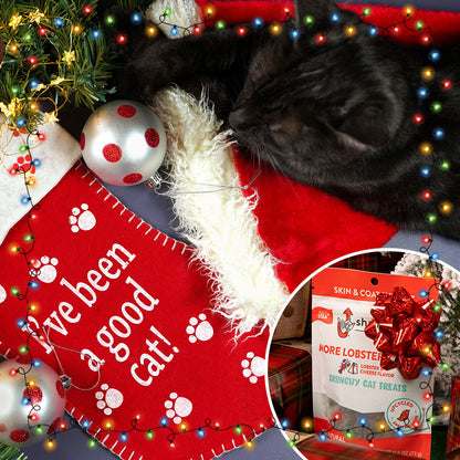 8th Annual Holiday Toy & Treat Event: Bring Joy To a Shelter Pet