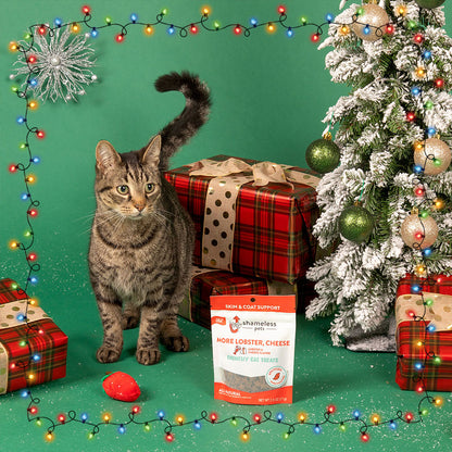 8th Annual Holiday Toy & Treat Event: Bring Joy To a Shelter Pet