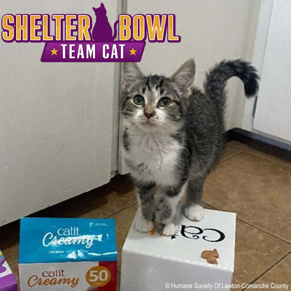 Shelter Bowl 2026: Feed Hungry Shelter Pets