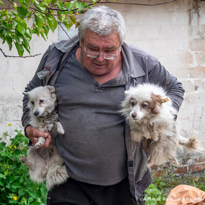 Crisis in Ukraine: Evacuate Pets Out of a War-Zone