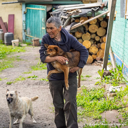 Crisis in Ukraine: Evacuate Pets Out of a War-Zone