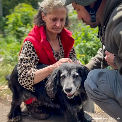 Crisis in Ukraine: Evacuate Pets Out of a War-Zone