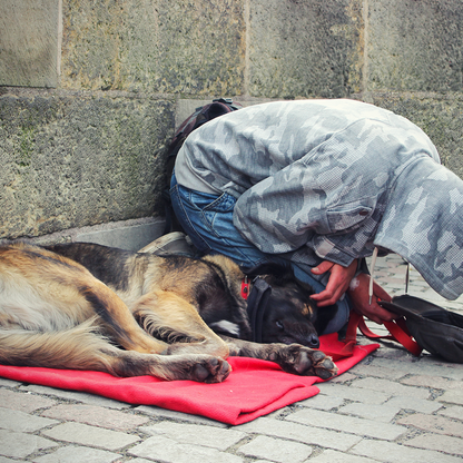 Send Winter Relief Kits to Veterans & Pets Experiencing Homelessness