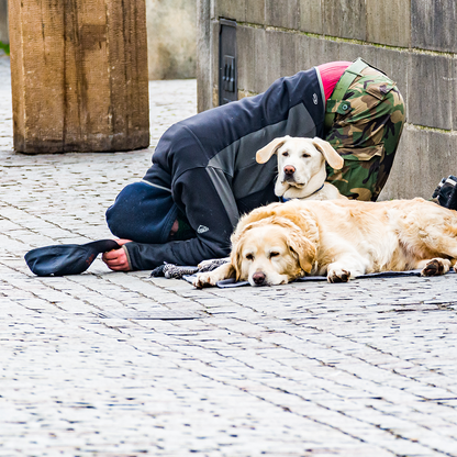 Send Winter Relief Kits to Veterans & Pets Experiencing Homelessness