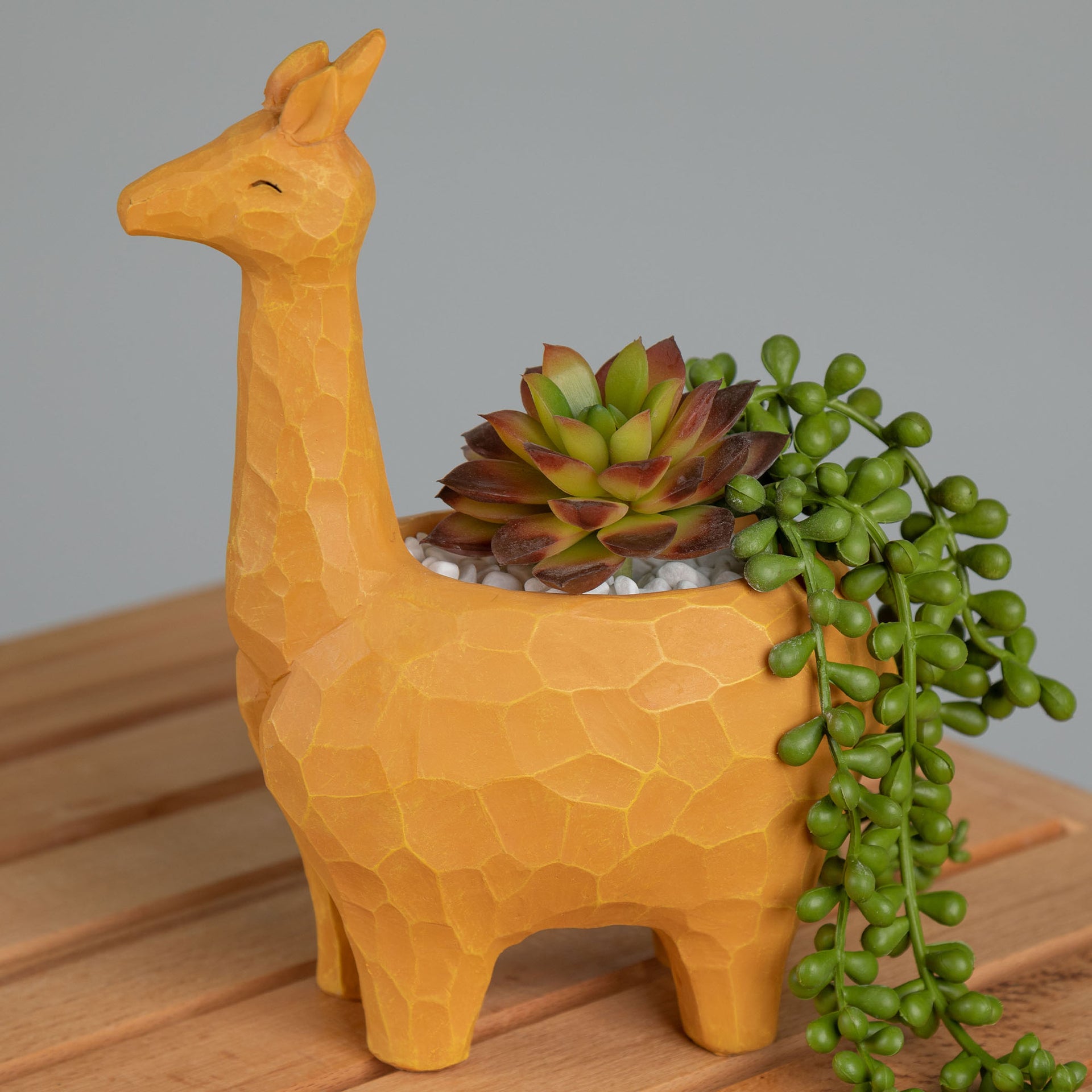 giraffe succulent pot Wild Kingdom Planter