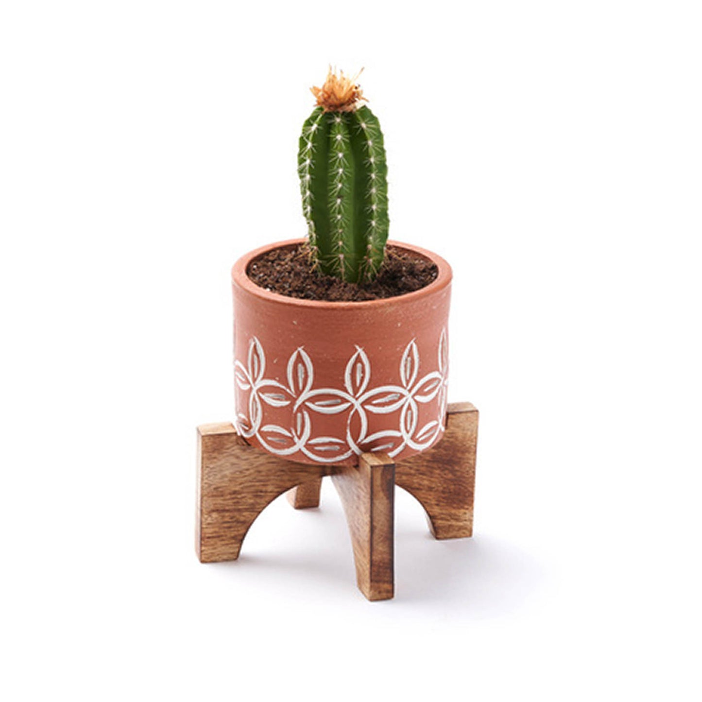 Small Terra Mango Planter with Stand