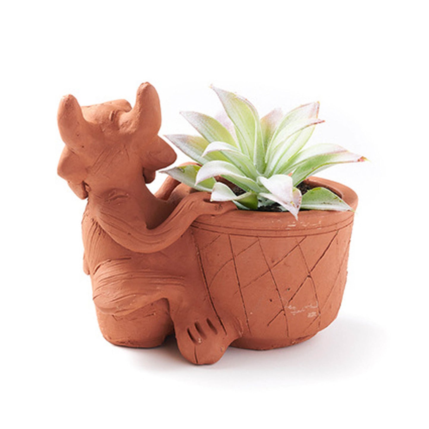 Cow Rakshana Plant Pal Pot