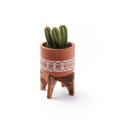 Medium Terracotta Mango Planter with Stand