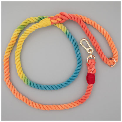 Rainbow Rope Dog Leash - 5 ft