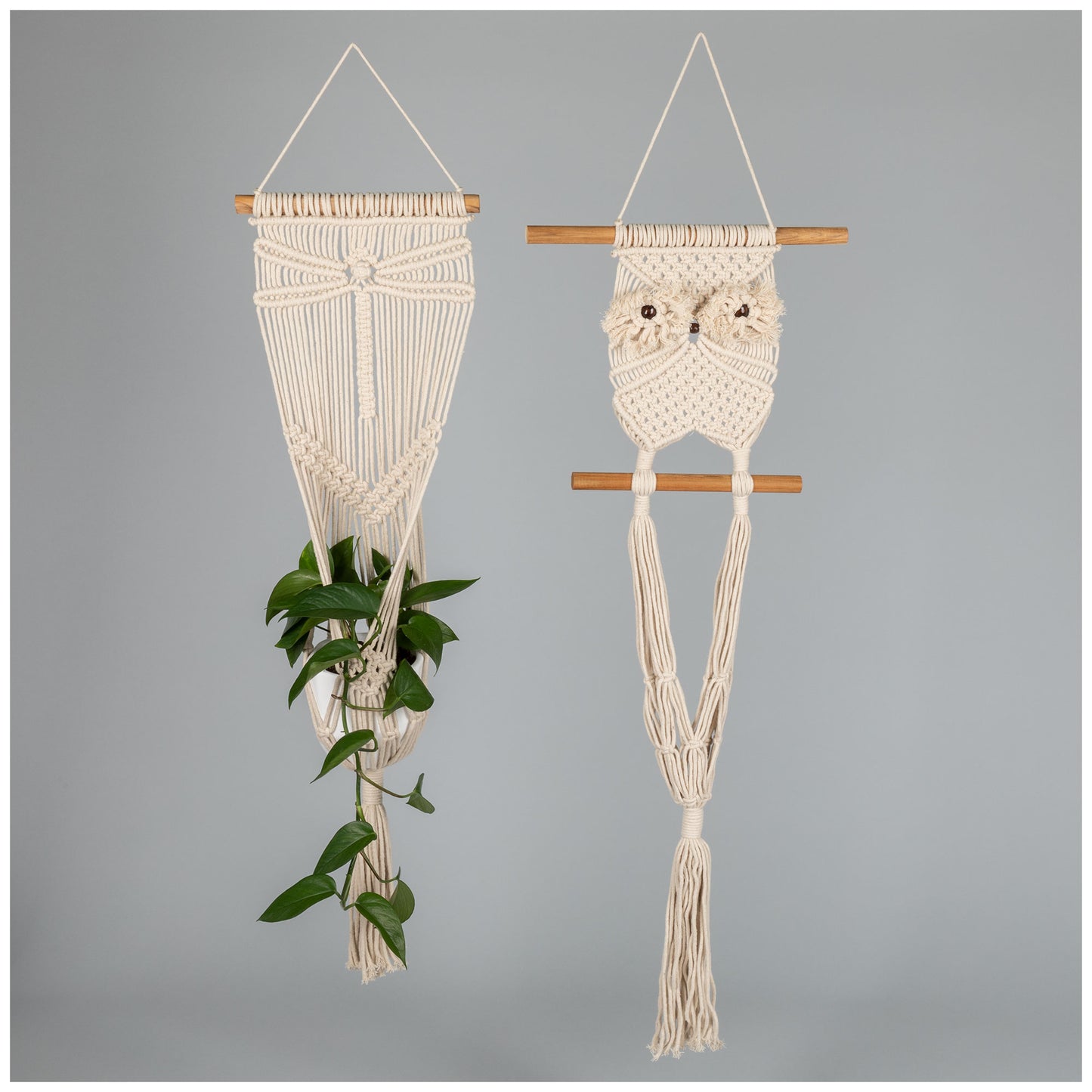 Macrame Hanging Plant Holder