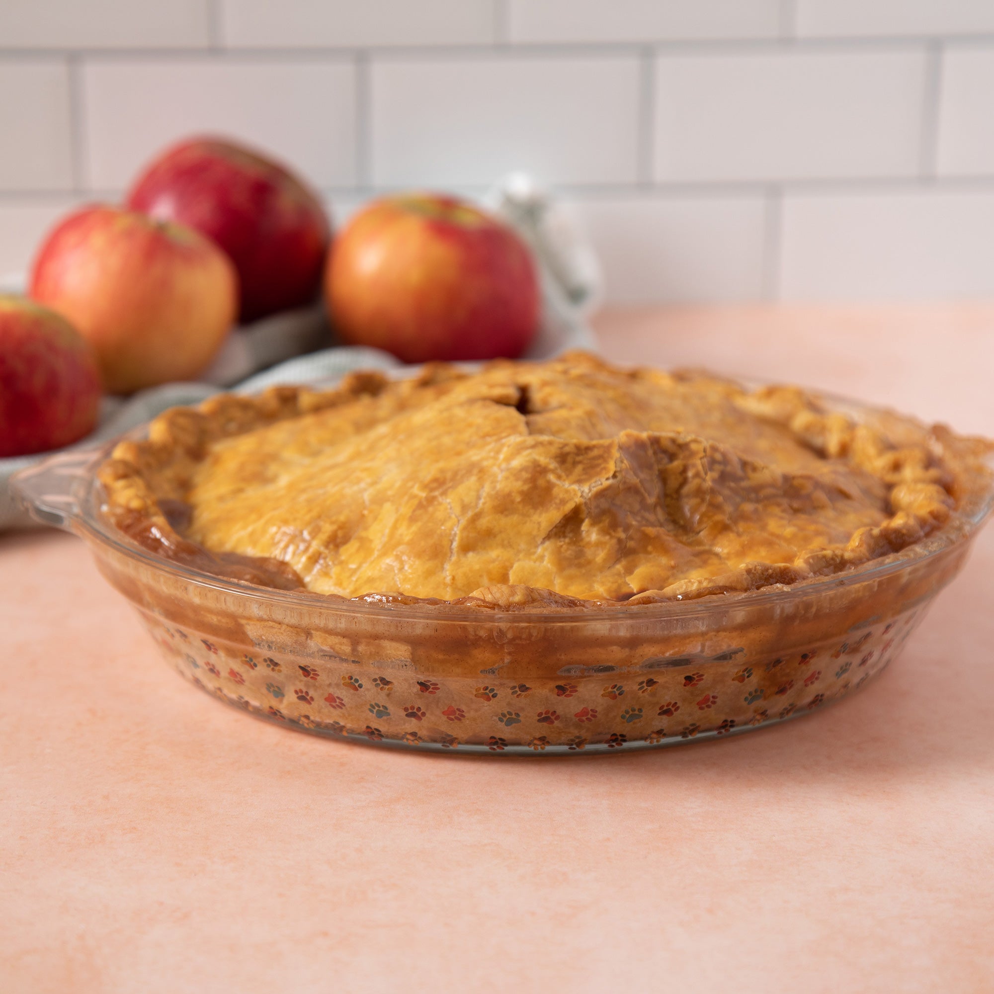 Paws Delight Glass Pie Plate | GreaterGood