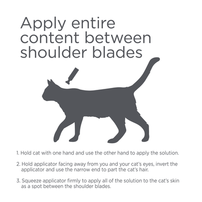 Vetality&trade; Avantect II for Cats