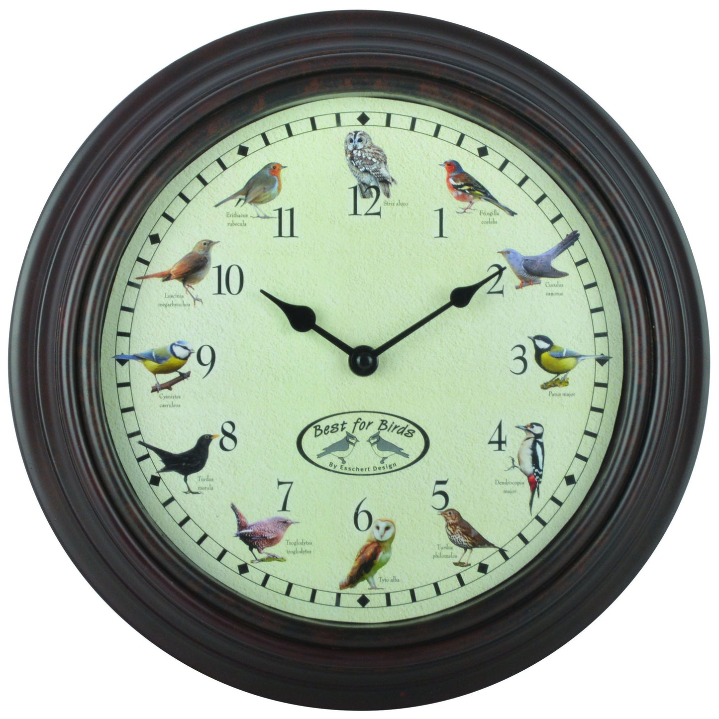 Bird Sounds Clock