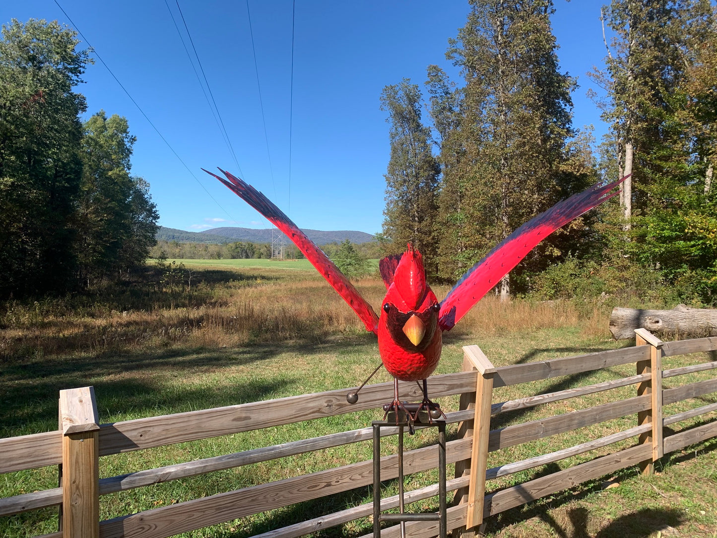 Metal Cardinal Rocker, Large