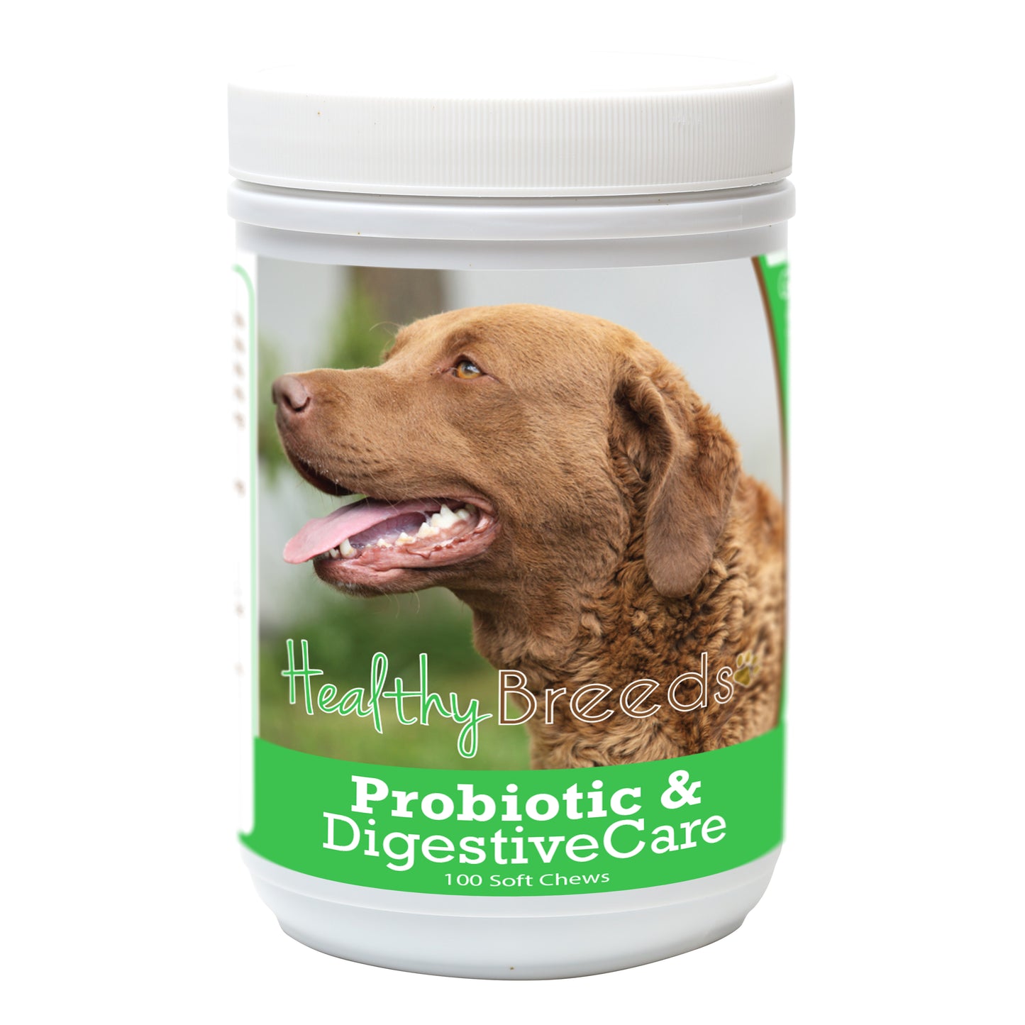 Probiotic & Digestive Care Soft Chews for Dogs