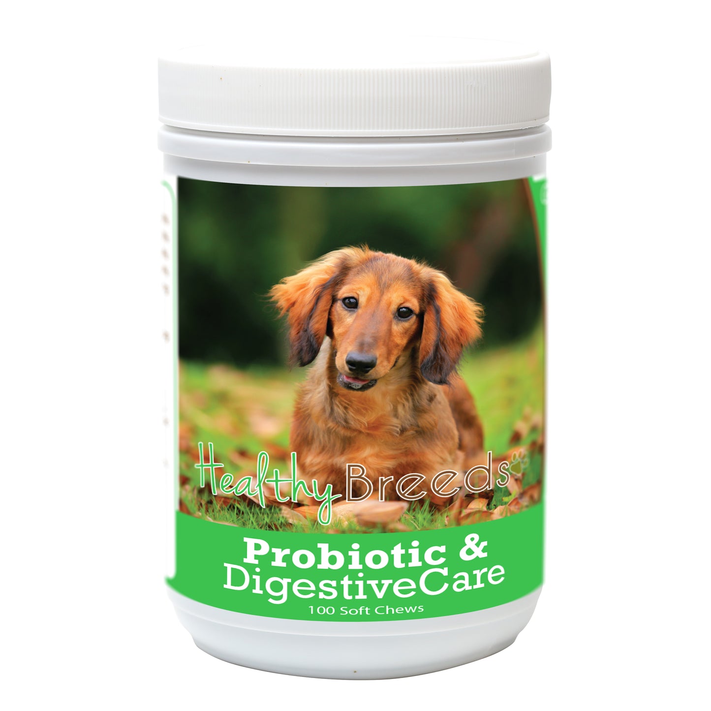 Probiotic & Digestive Care Soft Chews for Dogs