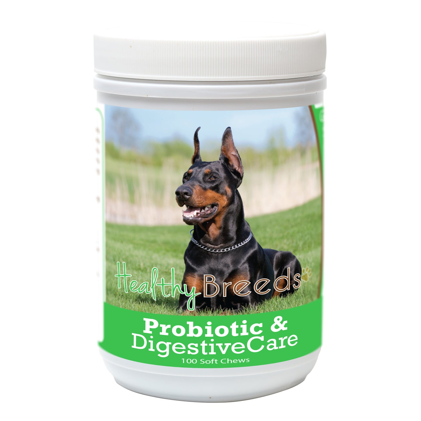 Probiotic & Digestive Care Soft Chews for Dogs