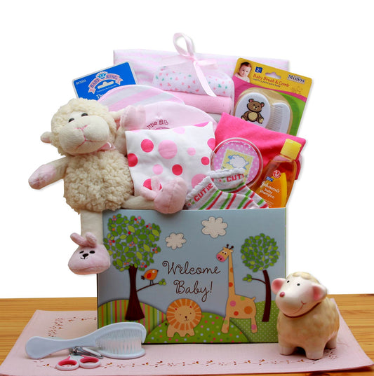 Welcome New Baby Gift Box - Pink