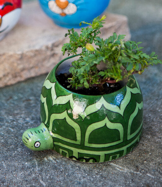 Lalita Succulent Planter