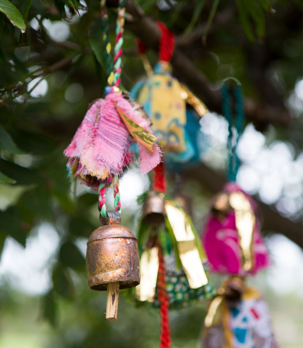 Sari and Song Hanging