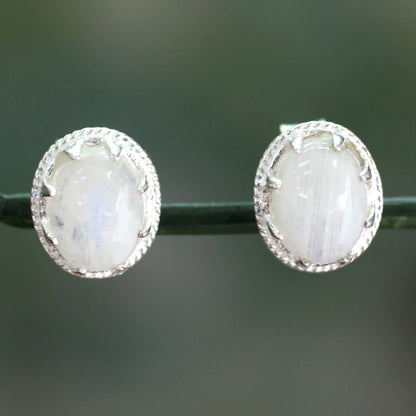 Morning Frost Moonstone & Silver Button Earrings