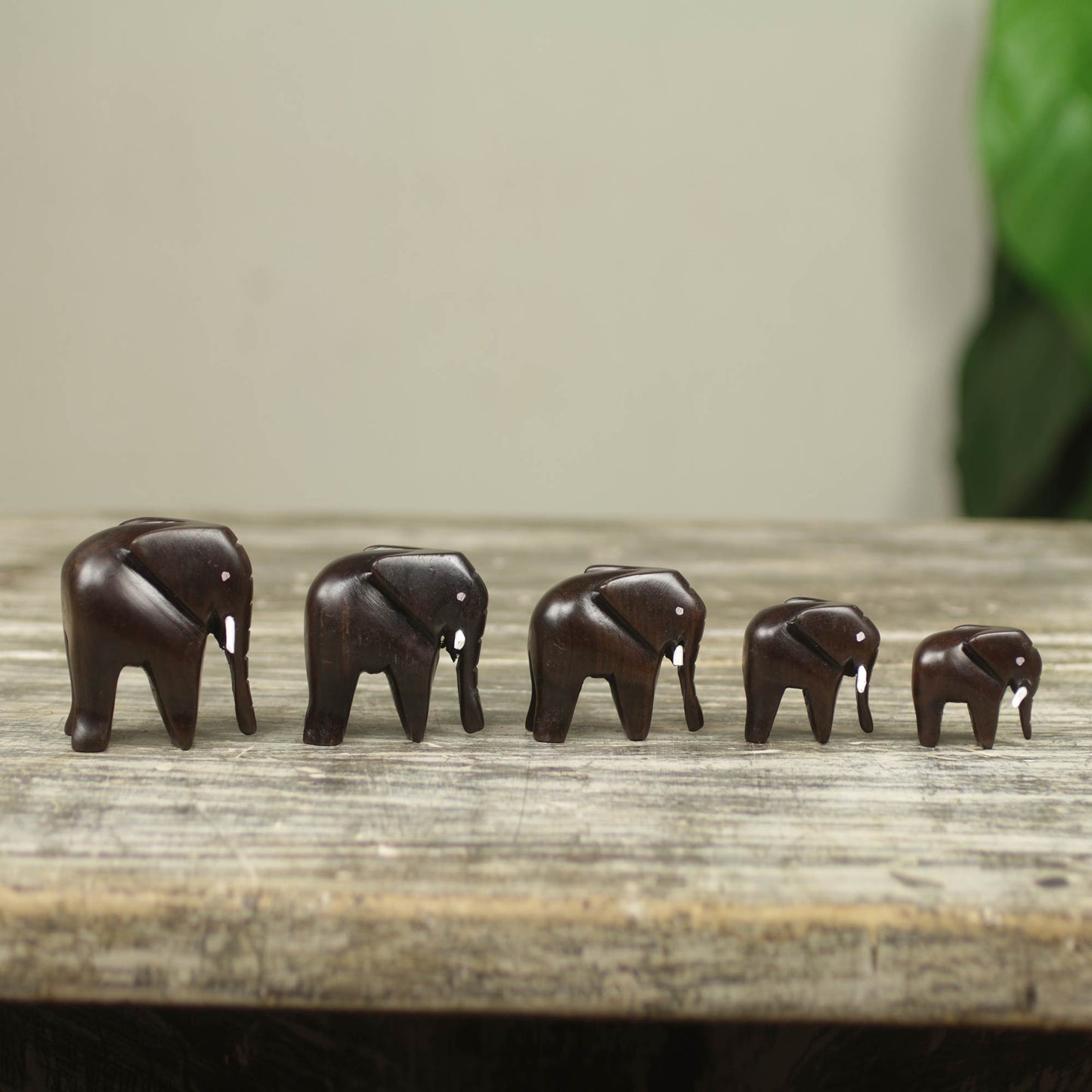 Elephant Family Artisan Crafted Wood Elephant Sculpture (Set of 5)