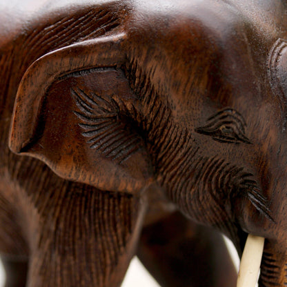 Gentle Thai Elephant Artisan Carved Rain Tree Wood Sculpture