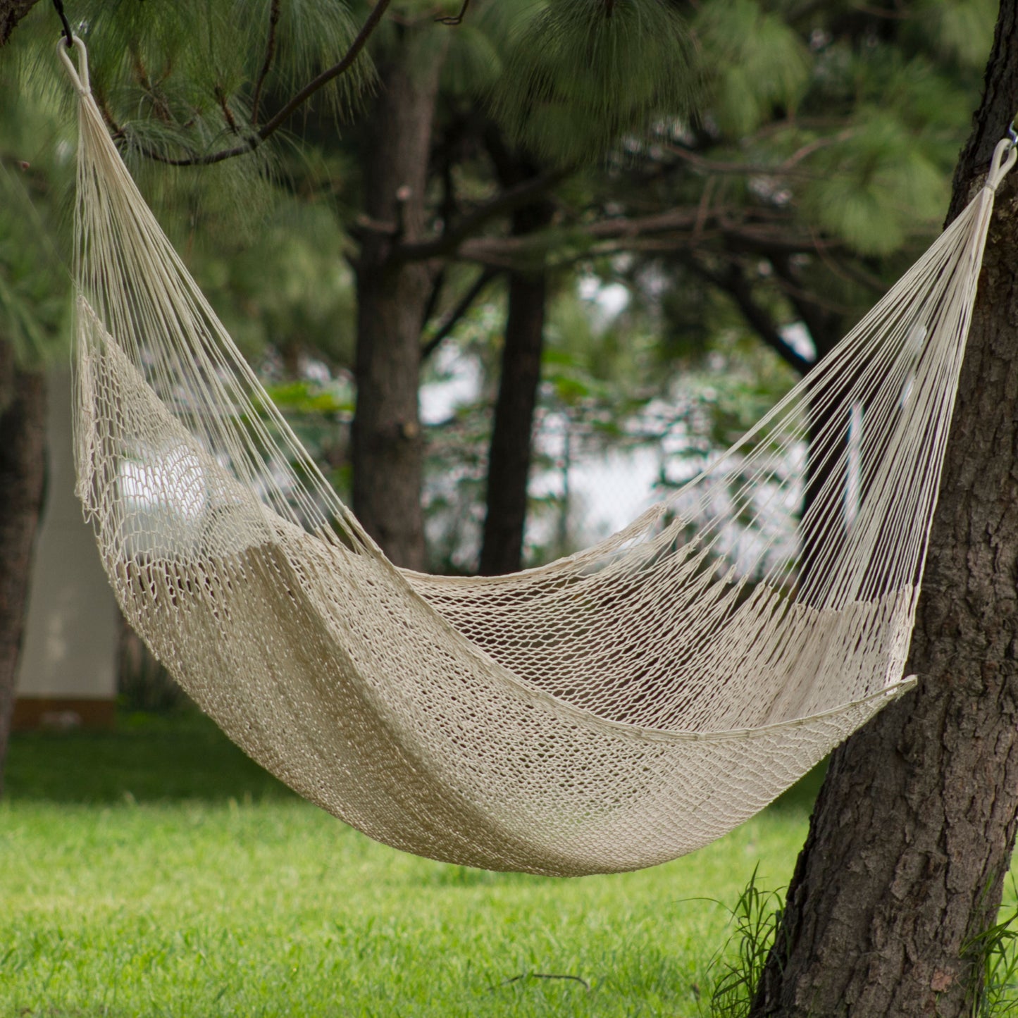 Caribbean Beach Unique Mayan Hammock from Mexico (Single)