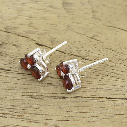 Chennai Stars Garnet Earrings