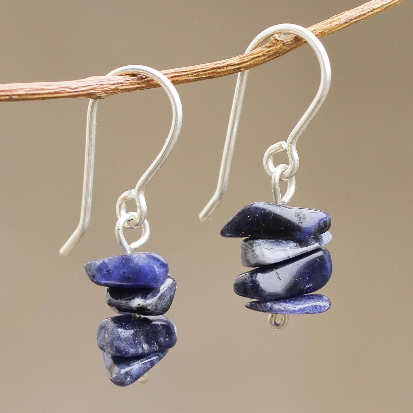 Nature's Harmony Sodalite Beaded Earrings