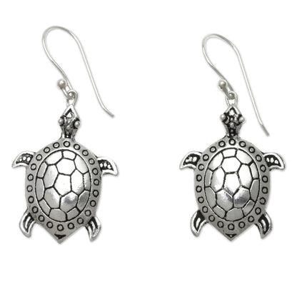 NOVICA - Sterling Silver Sea Turtle Earrings