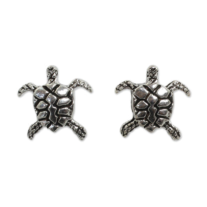 Baby Sea Turtle Stud Earrings