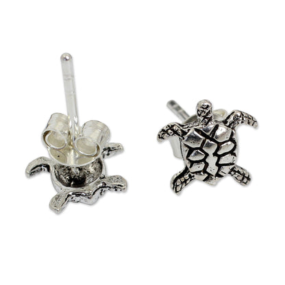 Baby Sea Turtle Stud Earrings