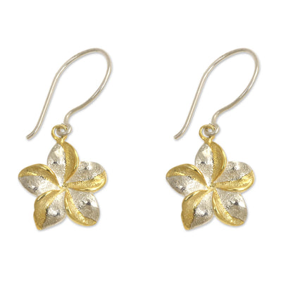 Golden Frangipani Sterling Silver Earrings with Gold Accent