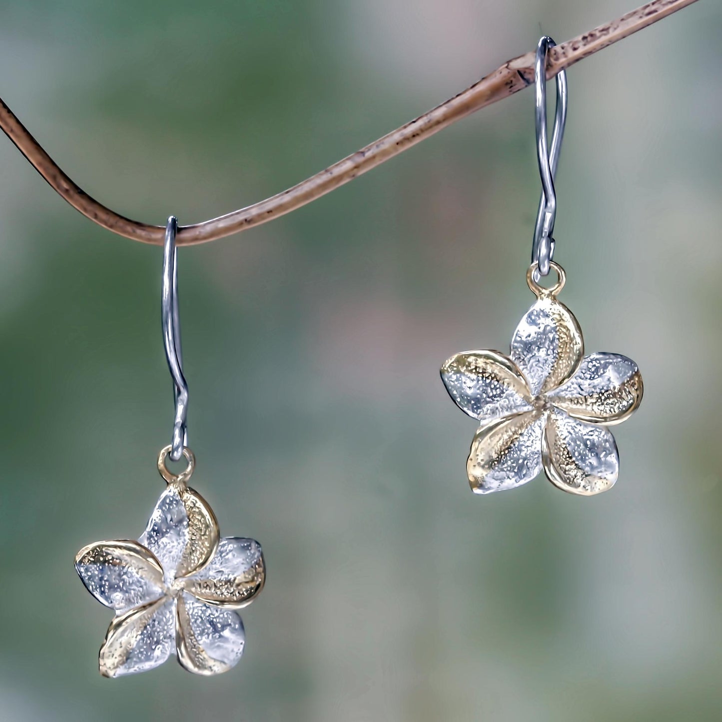 Golden Frangipani Sterling Silver Earrings with Gold Accent