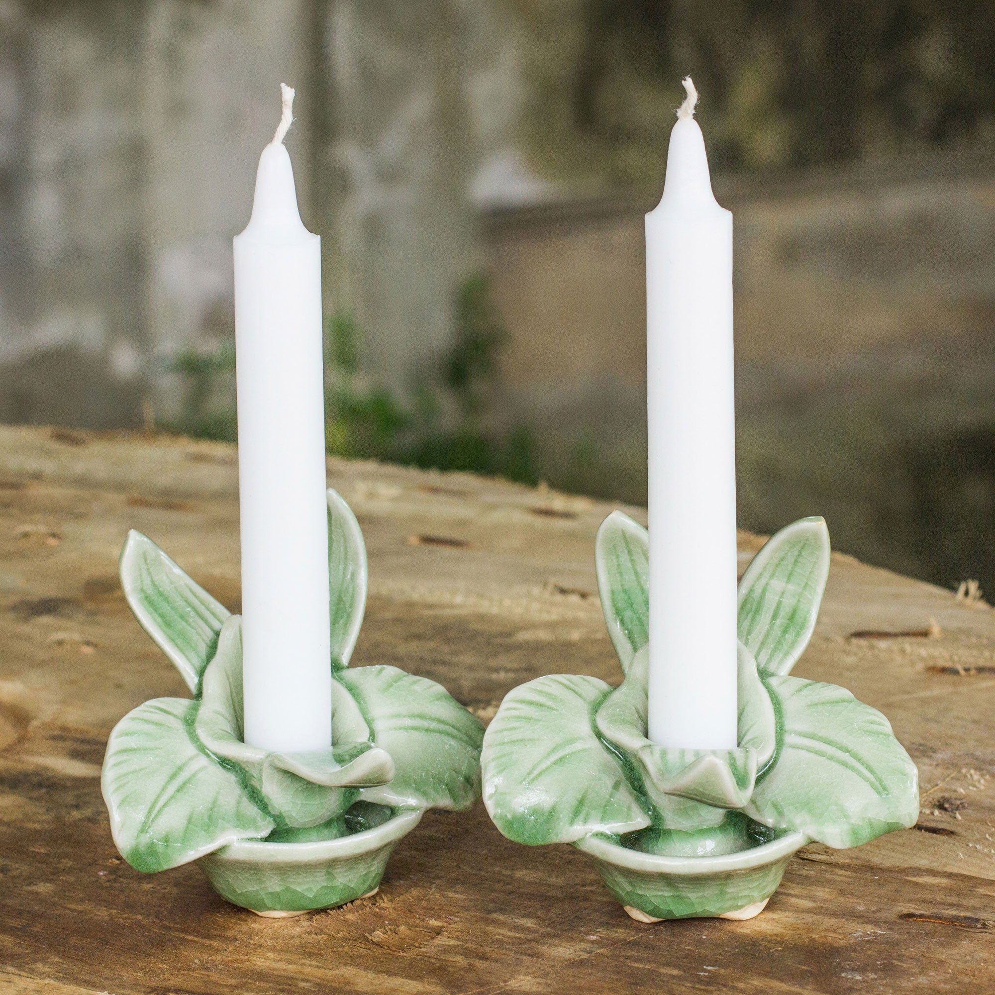 NOVICA Thai Jade Orchids Green Celadon Ceramic Orchid Shaped