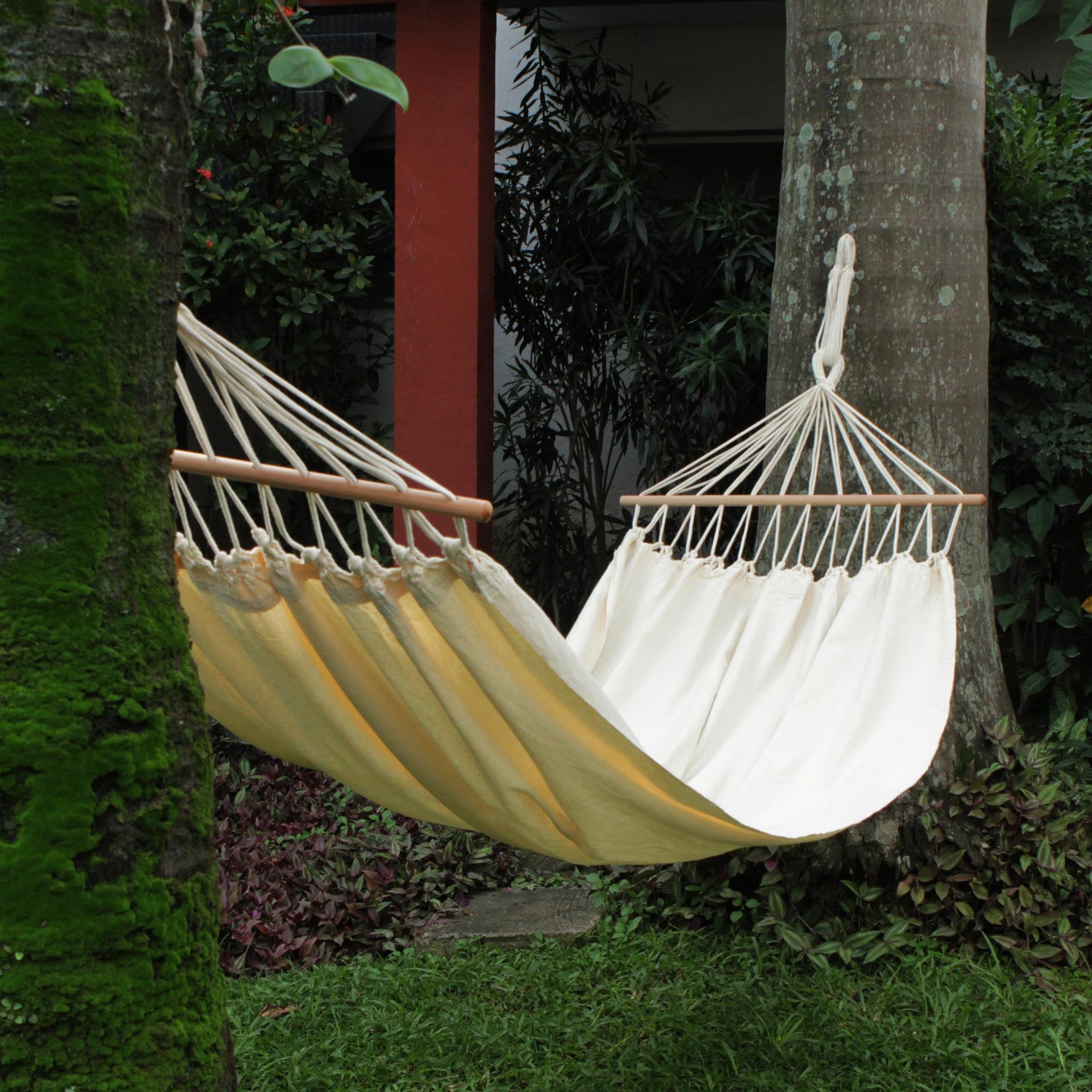 Cornsilk Comfort Woven Cotton Hammock in Cornsilk (Single) from Brazil