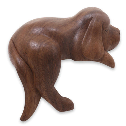 Sleepy Cocker Spaniel Sleeping Cocker Spaniel Puppy Sculpture Carved in Wood