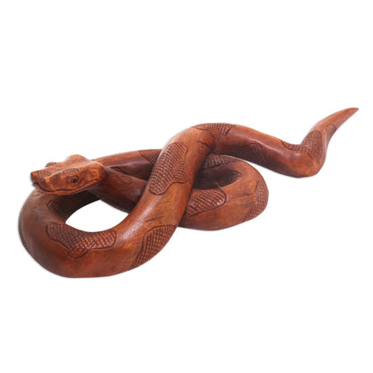 Sanca Hand Crafted Wood Python Sculpture by Balinese Artisan