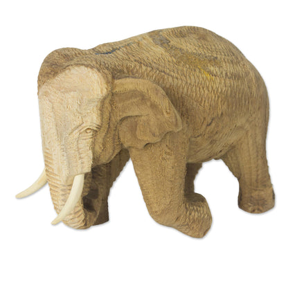 Blissful Elephant Handmade Rain Tree and Ivory Wood Elephant Statuette