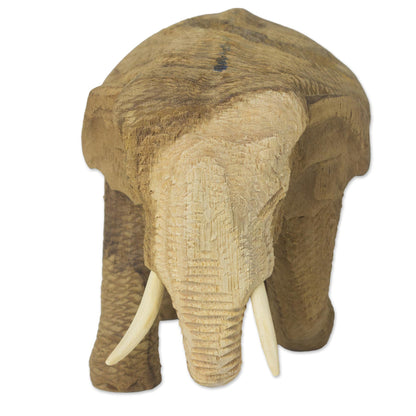 Blissful Elephant Handmade Rain Tree and Ivory Wood Elephant Statuette