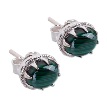 Morning Forest Malachite Silver Stud Earrings