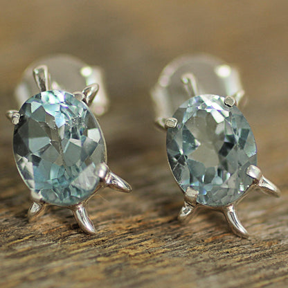 Crystal Turtle Blue Topaz Button Earrings