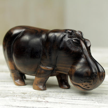 Majestic Hippo Hand Made Wood Hippopotamus Sculpture from Ghana