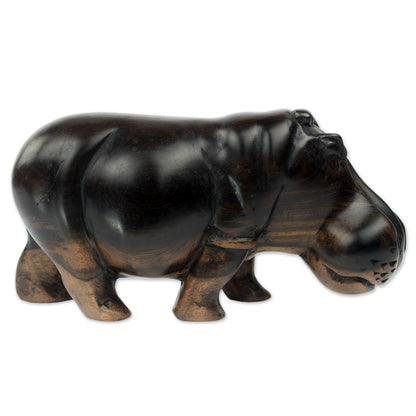 Majestic Hippo Hand Made Wood Hippopotamus Sculpture from Ghana