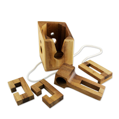 Don't Break It Raintree Wood Bottle Puzzle