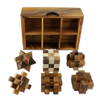 Set of Six Wood Puzzle Games